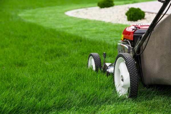 Lawn Cutting Service in South Bend