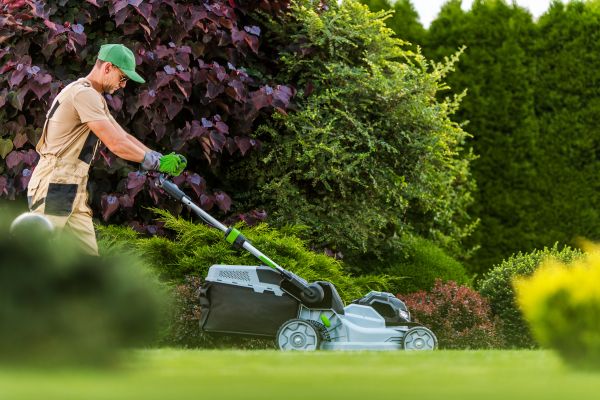 Lawn Management in South Bend